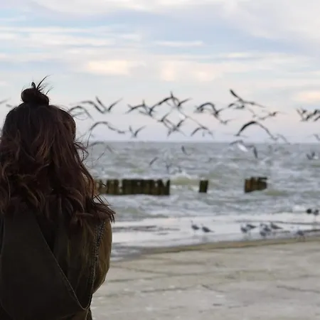 Apartamento White Pearl 4.03